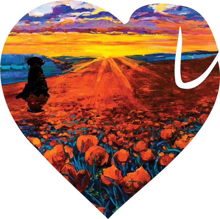 DogHeart shaped puzzle: a dog watching the sunset over a poppy field